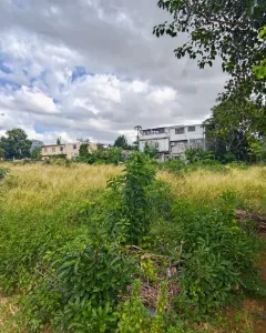  FOR SALE – 4 RESIDENTIAL LANDS IN ILOT, PAMPLEMOUSSE