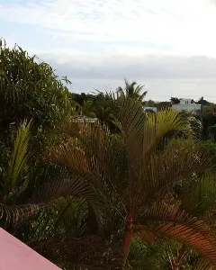🏡 À LOUER – APPARTEMENT MEUBLÉ À ALBION 🌴 