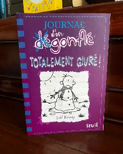Journal d'un dégonflé, Tome 13 : Totalement givré ! (par Jeff Kinney)