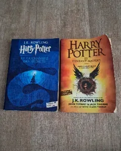 Livres Harry Potter 