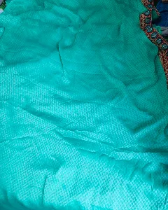 Sari