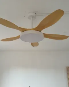 NEW CEILING FANS 