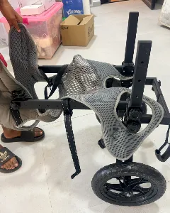Fauteuil, roulant