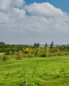 Terrain residentiel de 1000 m²